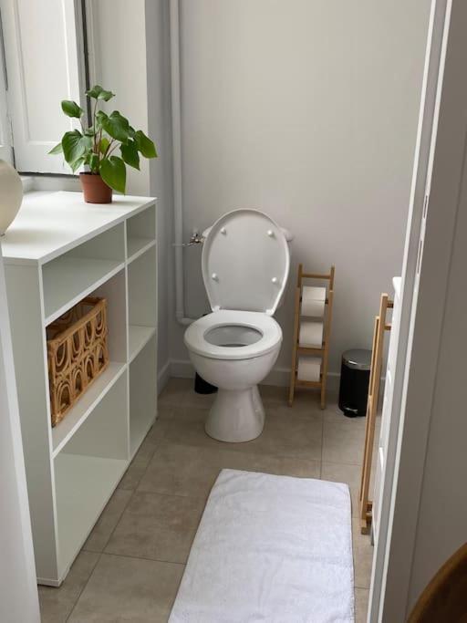 Appartement Plein Centre Lyon Kültér fotó
