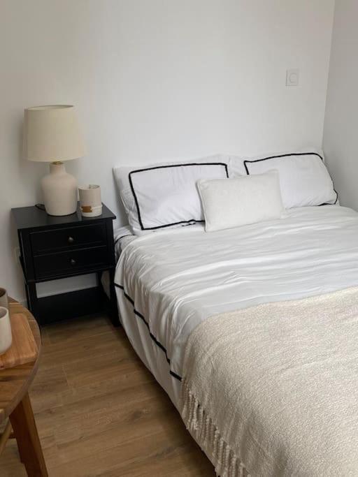 Appartement Plein Centre Lyon Kültér fotó